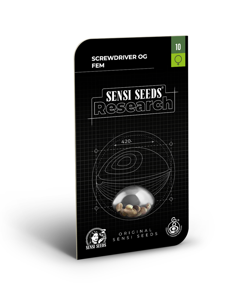 Screwdriver og feminizada sensi seeds
