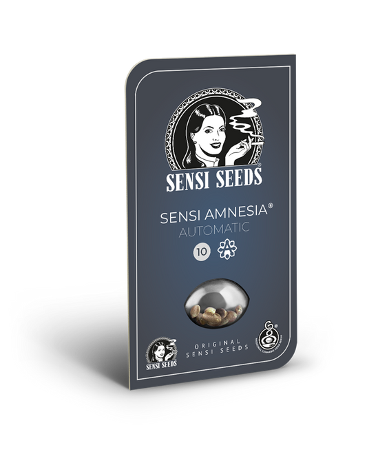 Sensi amnesia auto sensi seeds