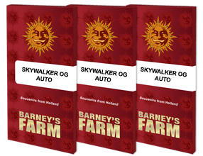 Skywalker og auto barneys farm seeds