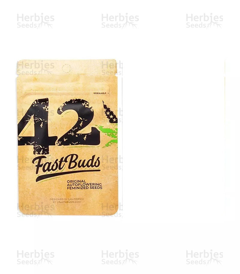 Original blueberry fastbuds