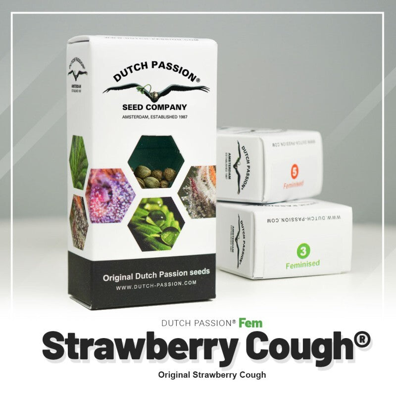 Strawberry cough