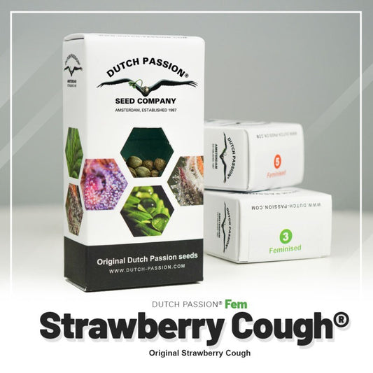 Strawberry cough