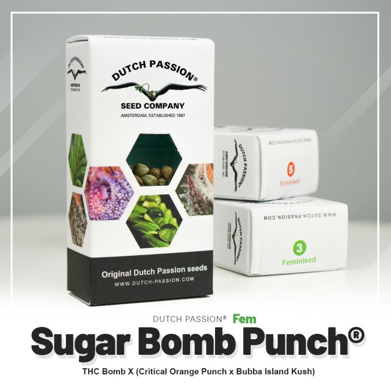 Sugar bomb punch