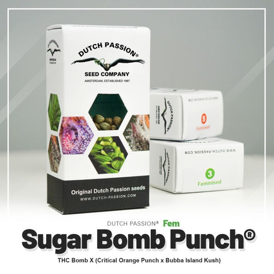 Sugar bomb punch