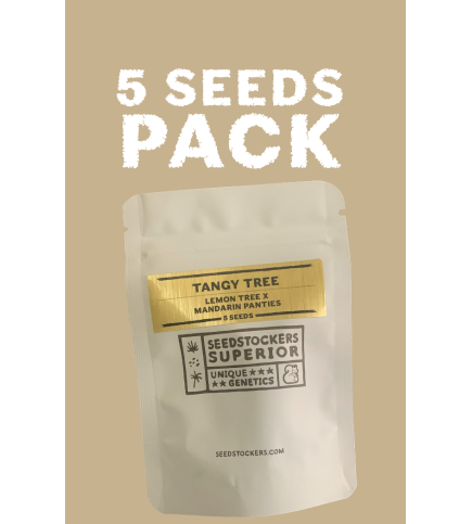 Gelato 41 auto - seed stockers