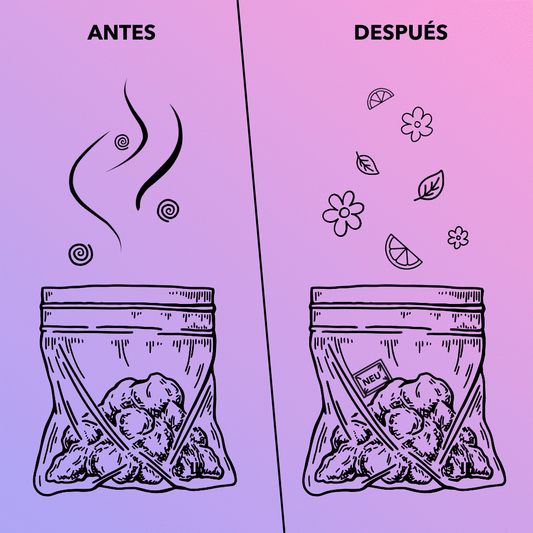 Sobre de terpenos 8 g