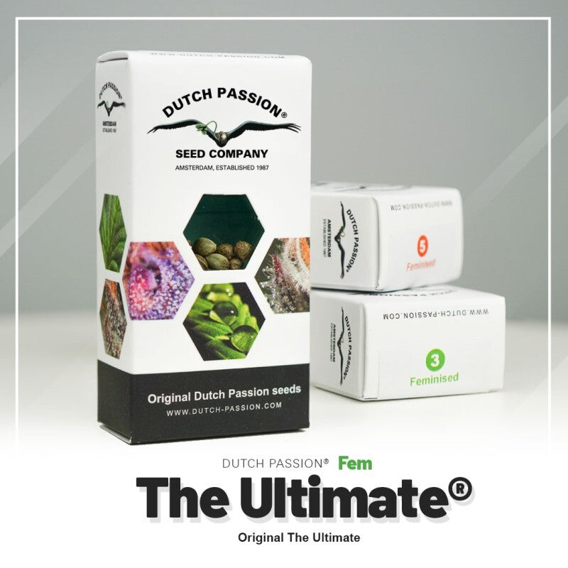 The ultimate