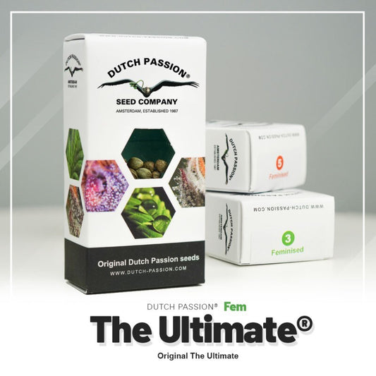 The ultimate