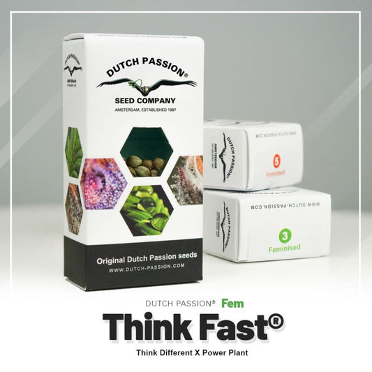 Think fast