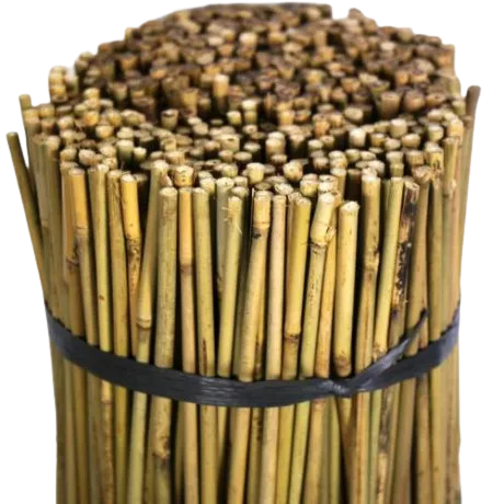 Tutor bambú 8/10 mm