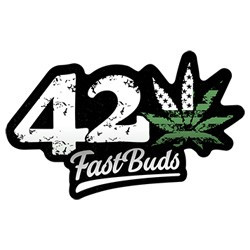 FASTBUDS 420